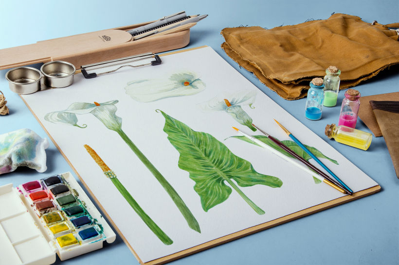 Lirios de agua para papelería | Mi Proyecto del curso: Ilustración botánica con acuarela 2