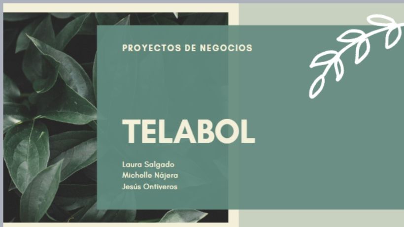 TELABOL Presentación  1