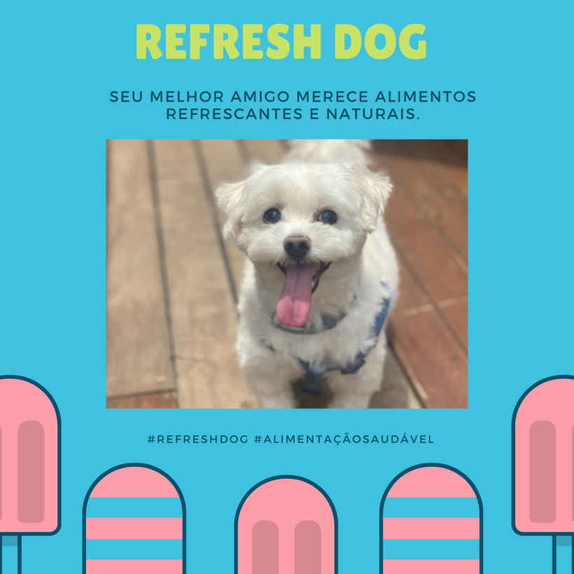 Refresh Dog 1