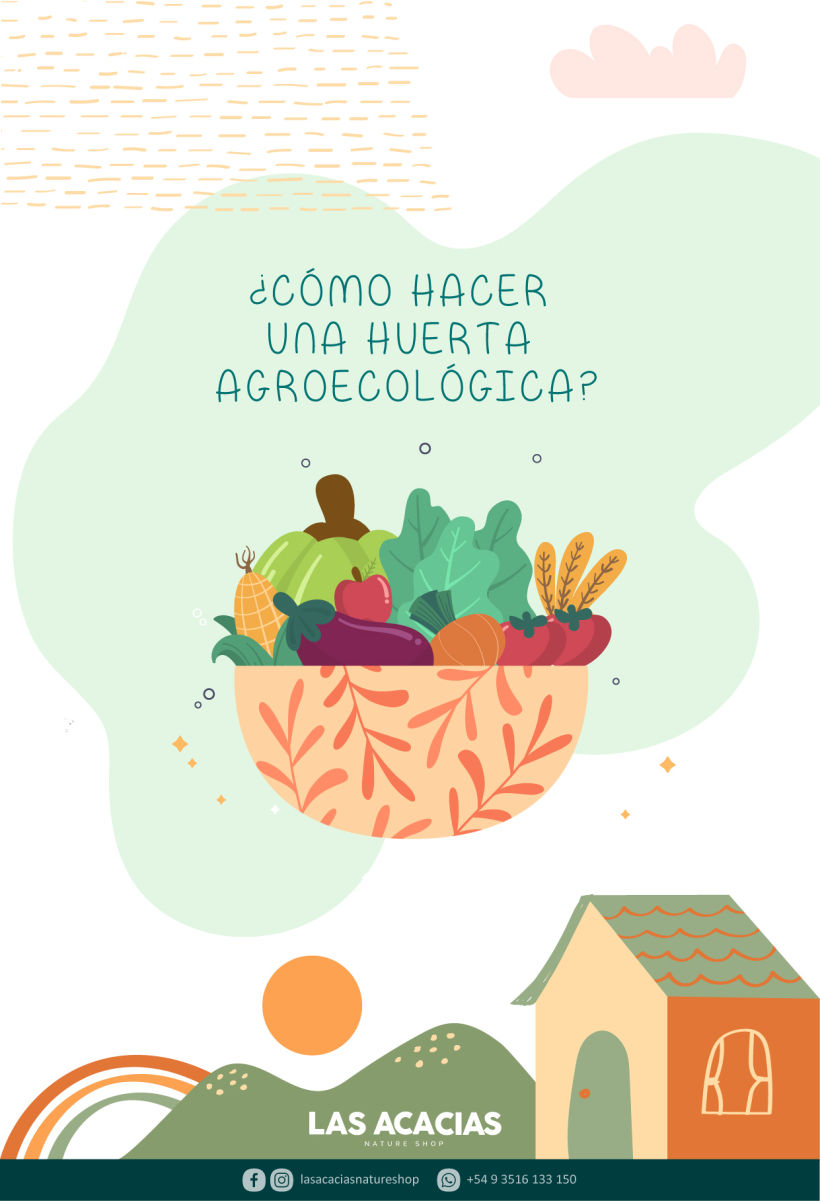 Manual de Huerta Agroecológica 4