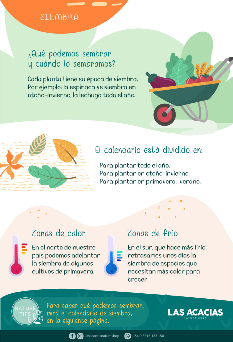 Manual de Huerta Agroecológica 8