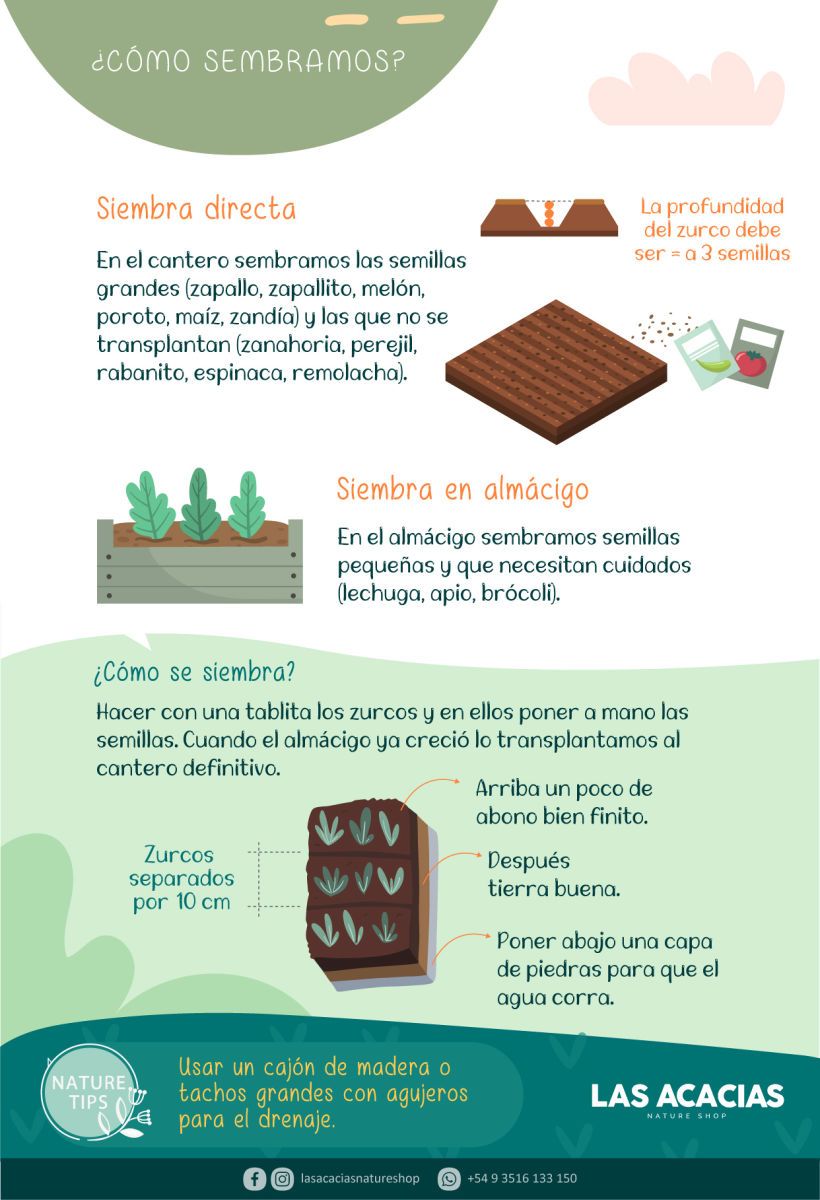 Manual de Huerta Agroecológica 11