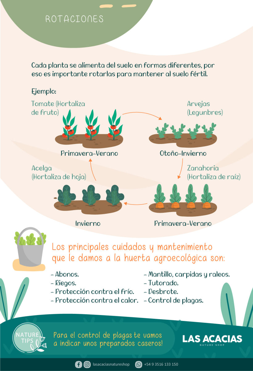 Manual de Huerta Agroecológica 13