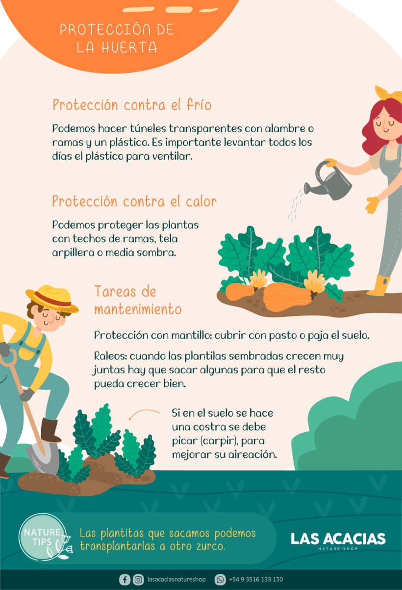 Manual de Huerta Agroecológica 14