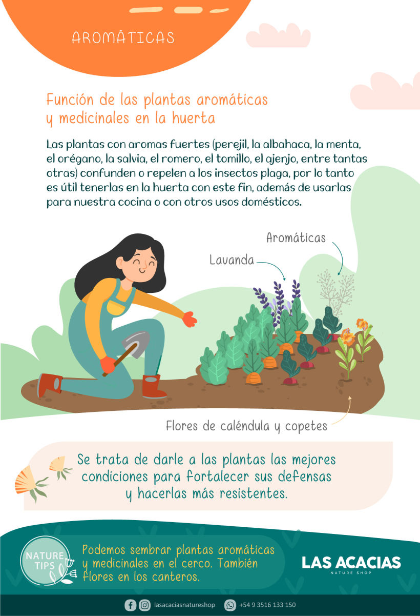 Manual de Huerta Agroecológica 16