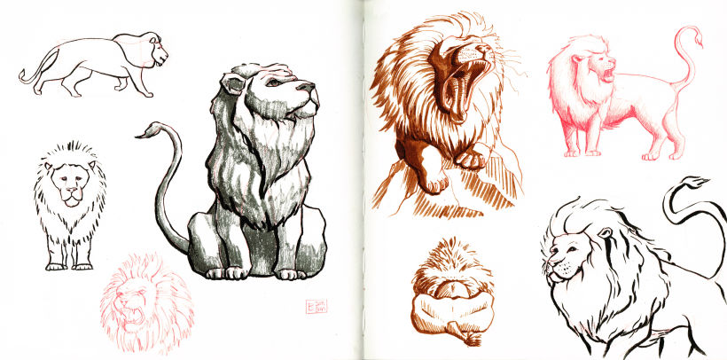Sketch a partir de referencias (león)