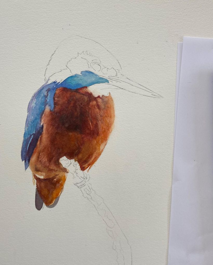 Watercolour kingfisher 5