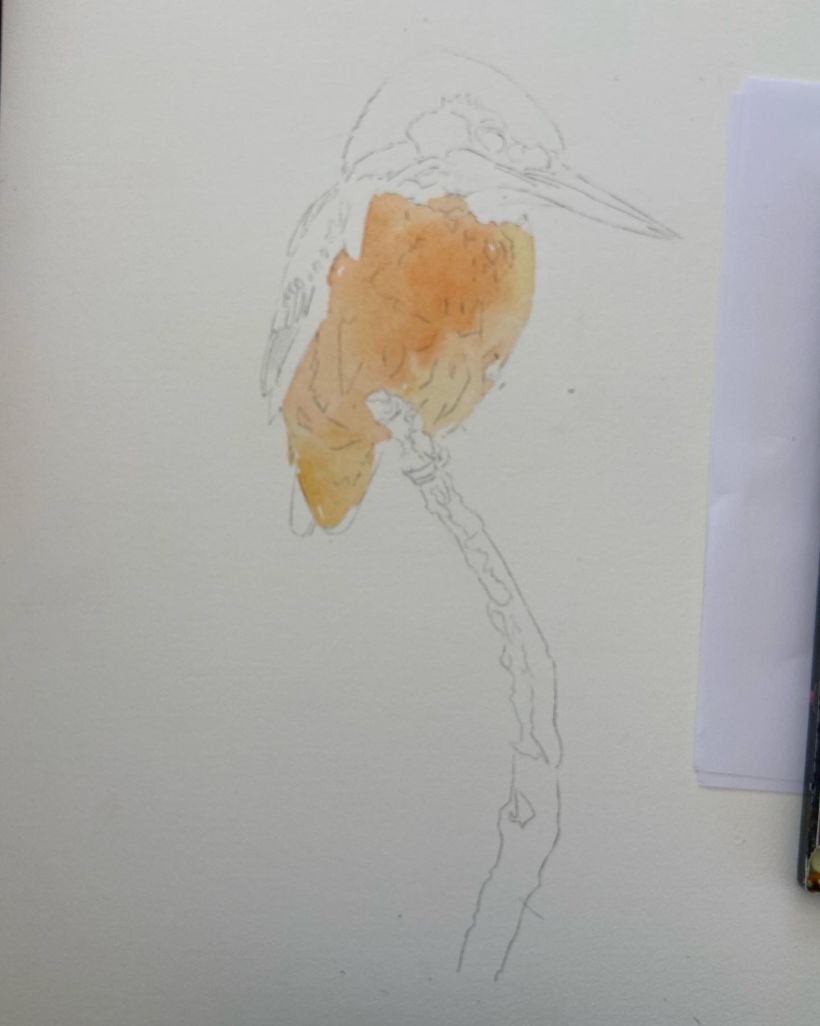 Watercolour kingfisher 6
