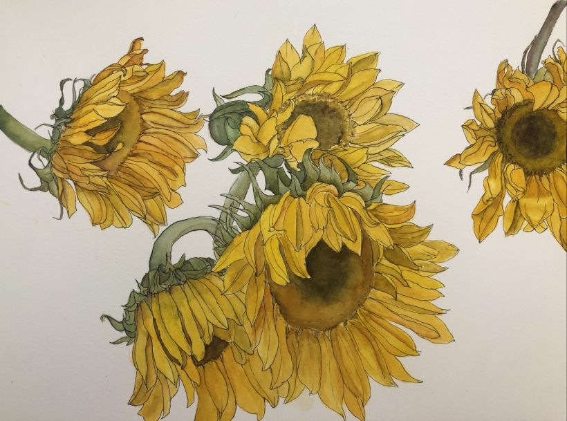 My project in Botanical Sketchbooking: A Meditative Approach course 4