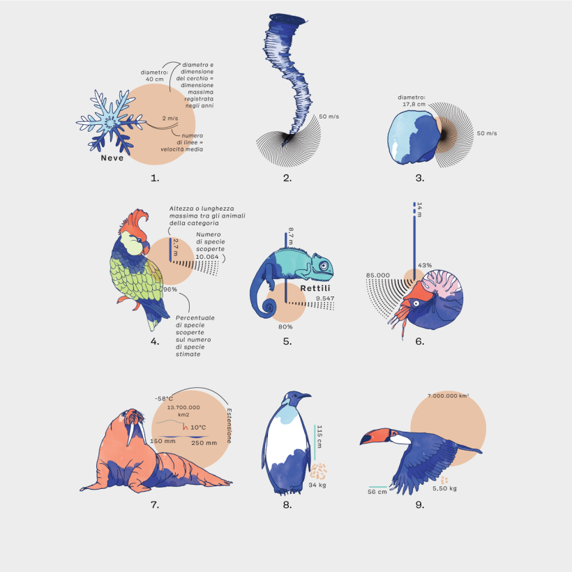 Illustrations and infographics, combined