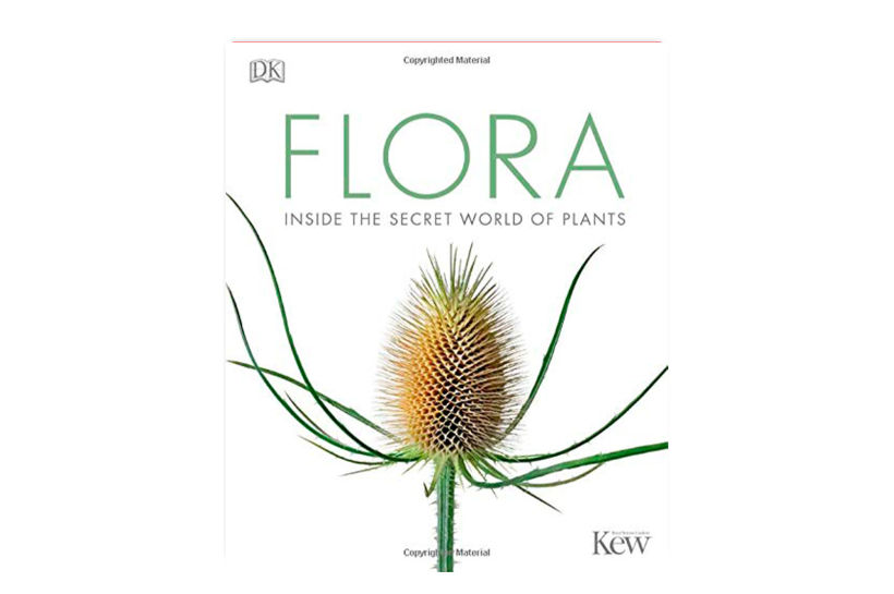 "Flora: Inside the Secret World of Plants", DK.
