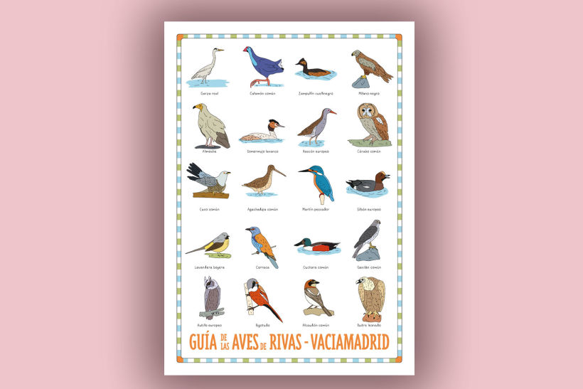Guía de aves de Rivas Vaciamadrid 1