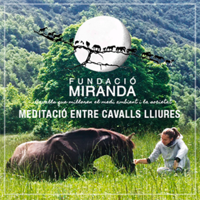 Fundació Miranda 4