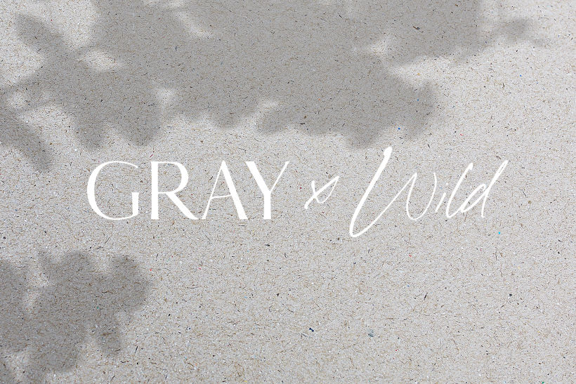 Grey x Wild 1