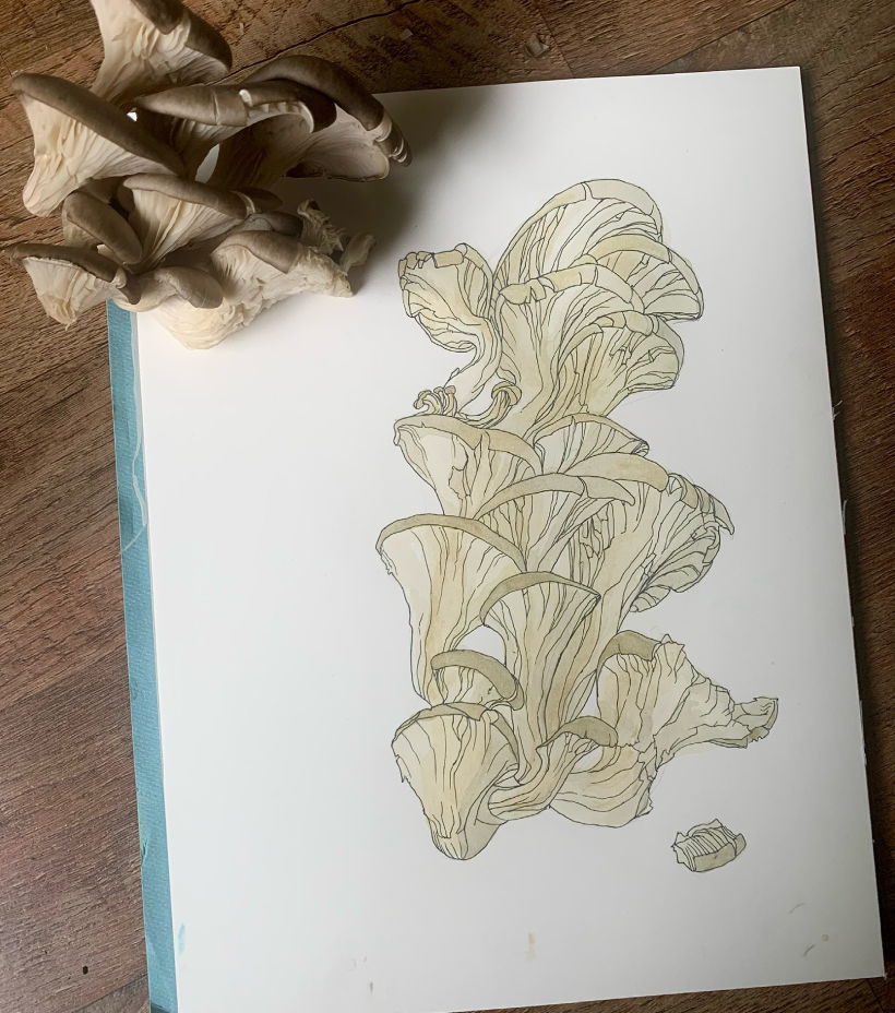 My project in Botanical Sketchbooking: A Meditative Approach course 3
