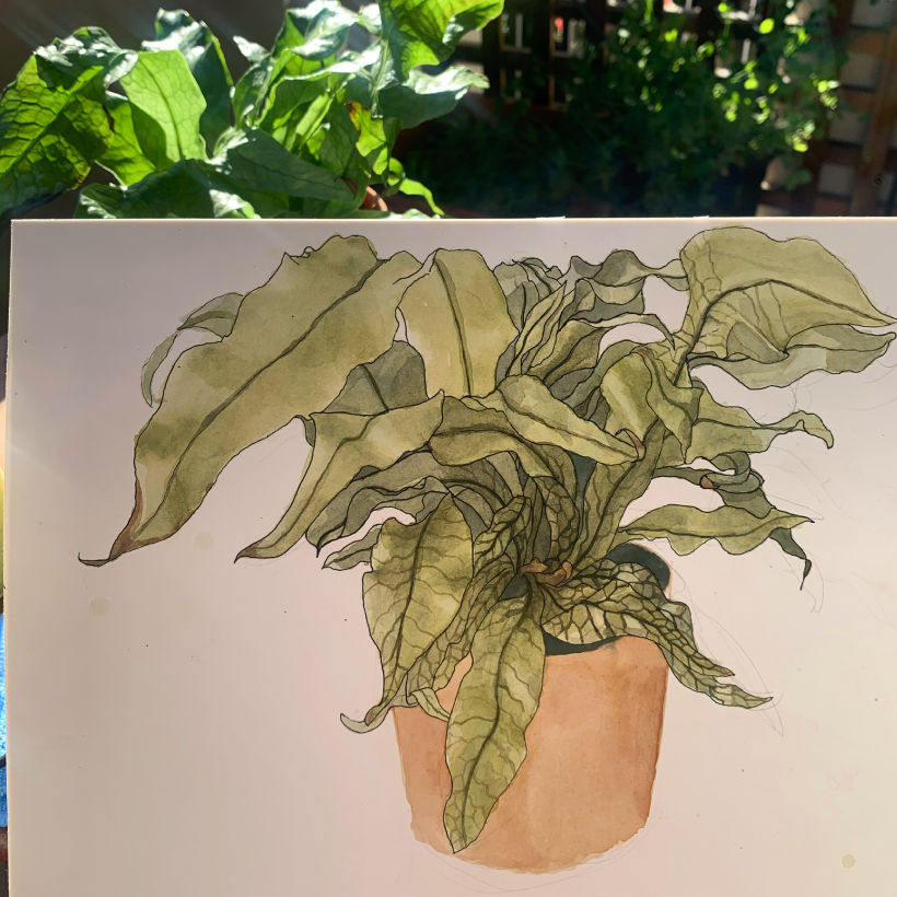 My project in Botanical Sketchbooking: A Meditative Approach course 7