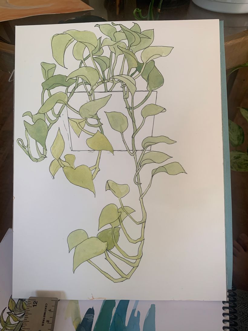 My project in Botanical Sketchbooking: A Meditative Approach course 12