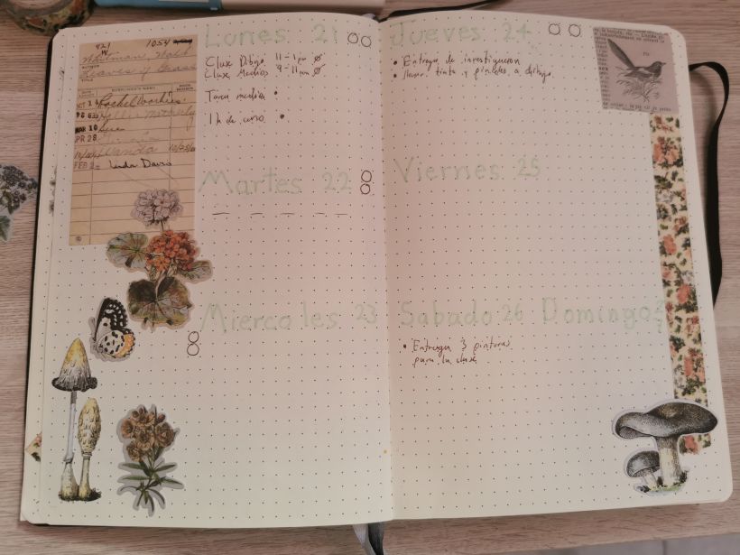 Mi Proyecto del curso:  Bullet journal creativo: planificación y creatividad  5