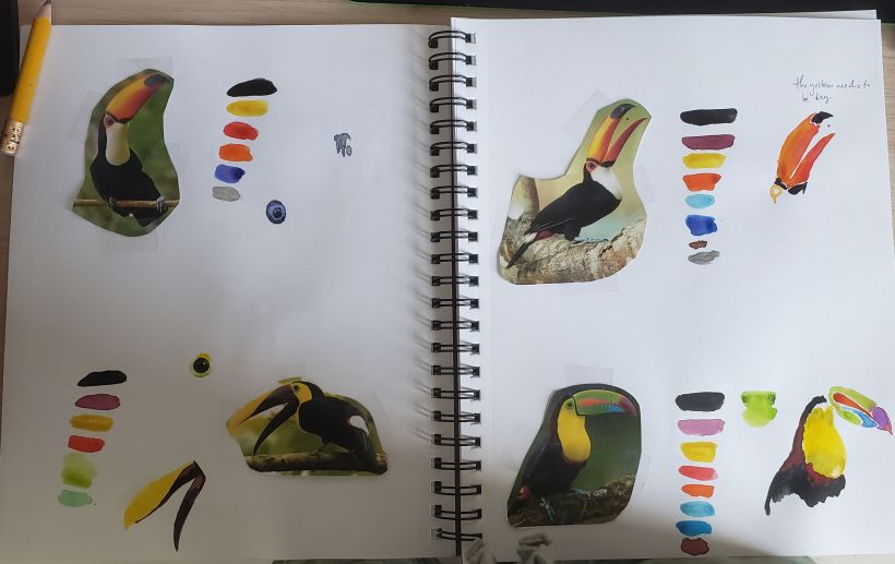 Mi Proyecto del curso: Acuarela artística para ilustración de aves 3