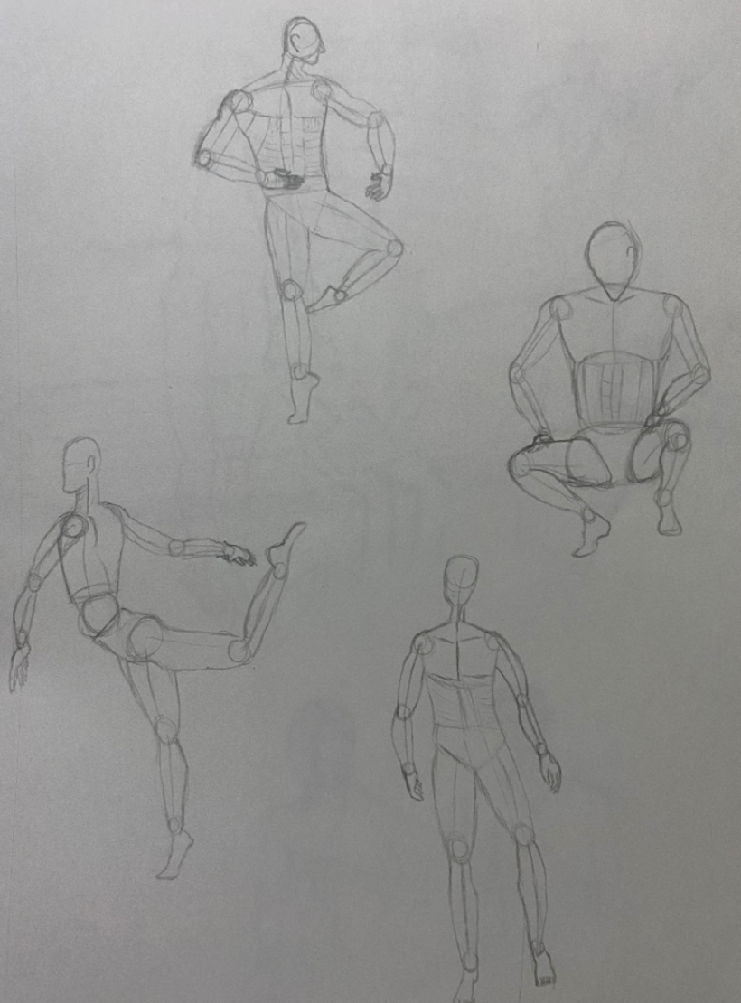 Dibujo anatómico para principiantes 8