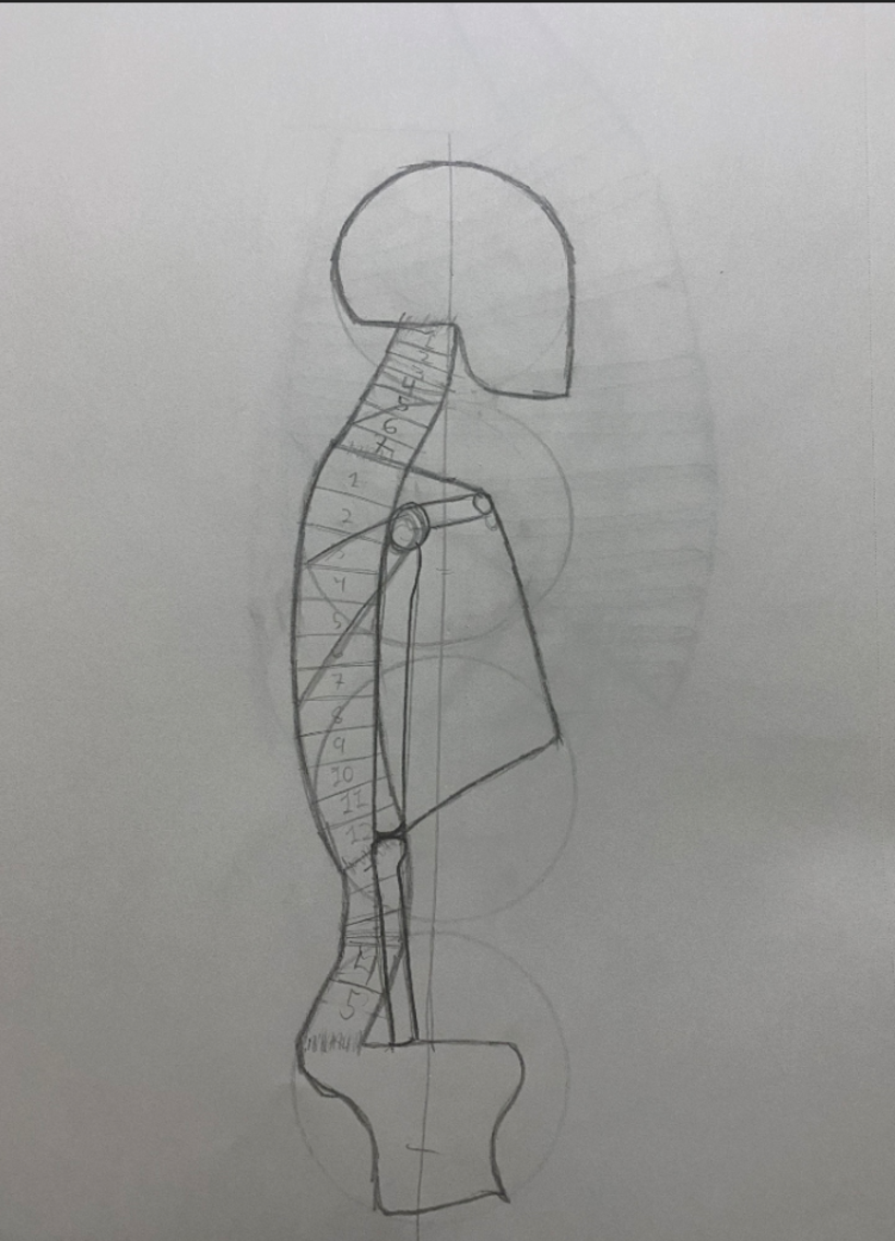 Dibujo anatómico para principiantes 12