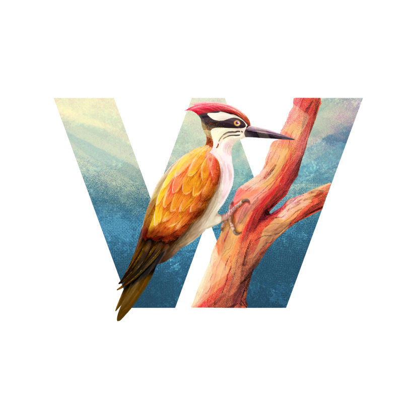 Extra Personal Work unrelated to final project to show pattern usage. W for Woodpecker.