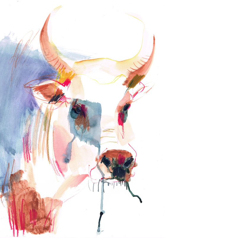 Oxen 3