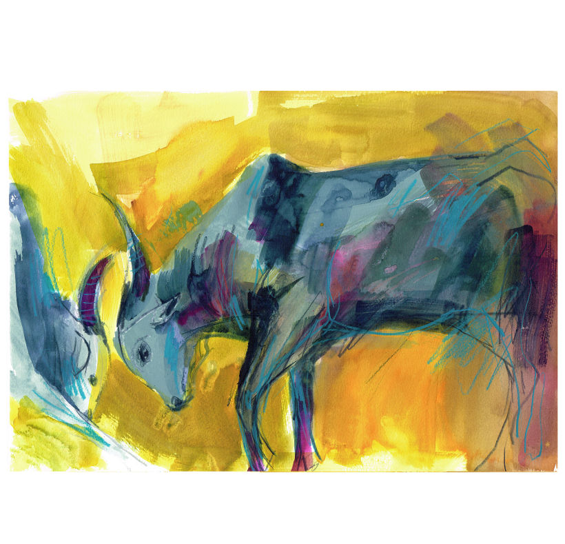 Oxen 8