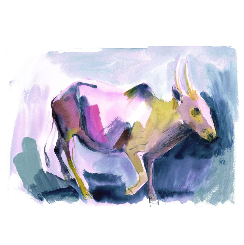 Oxen 6