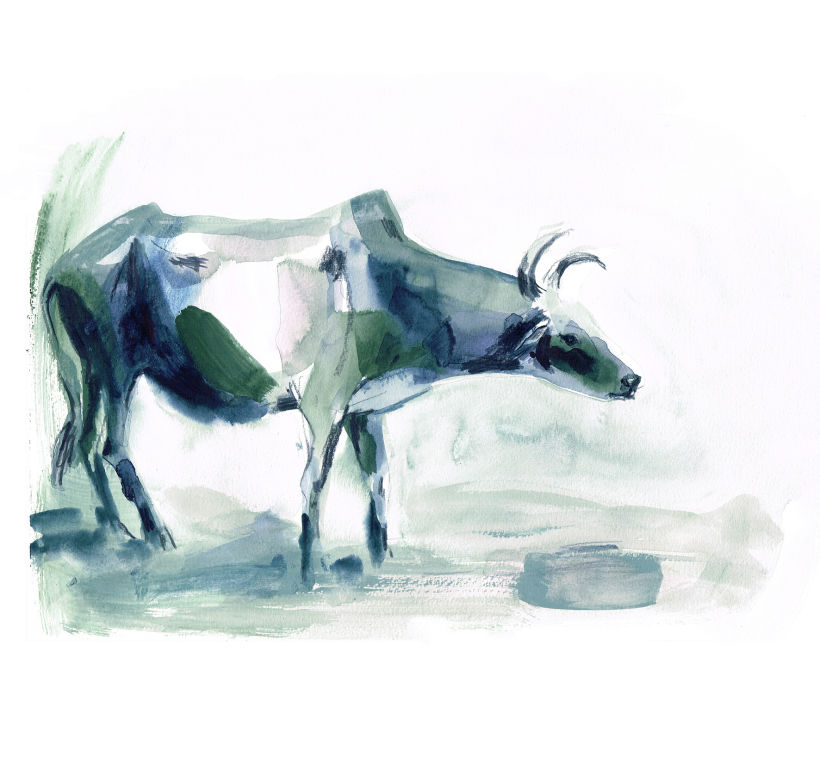 Oxen 5