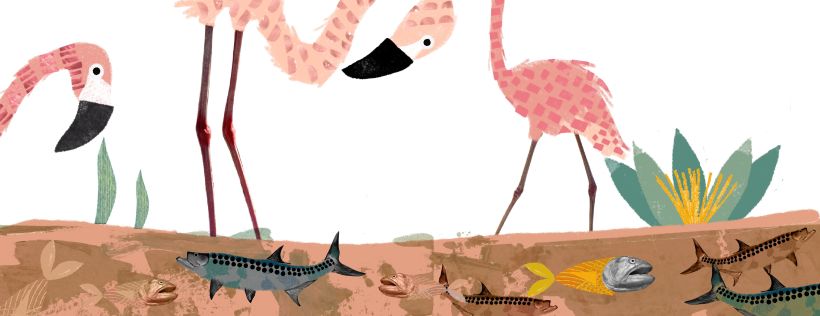 Mi Proyecto del curso: Ilustración y collage digital para cuentos infantiles 4
