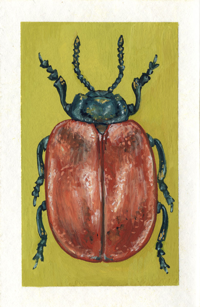 Beetle project 6