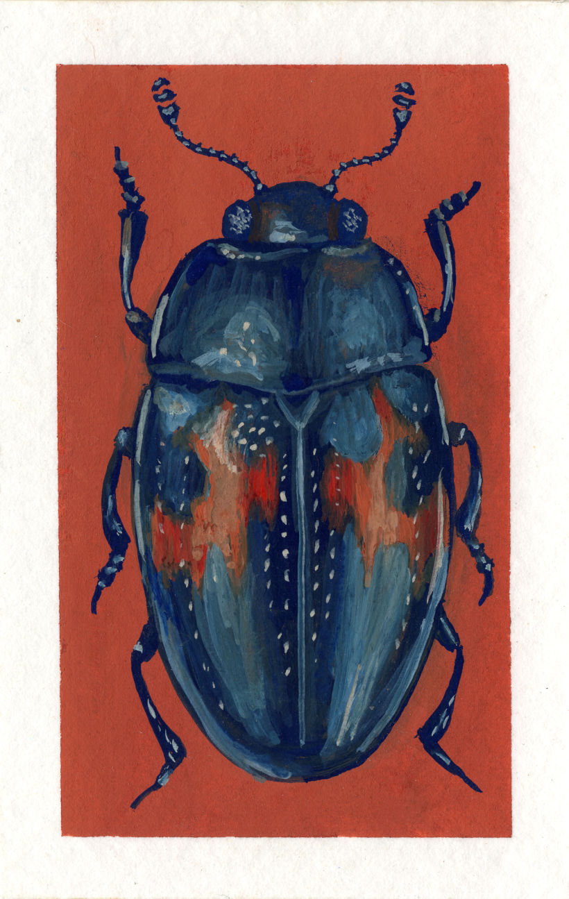 Beetle project 9