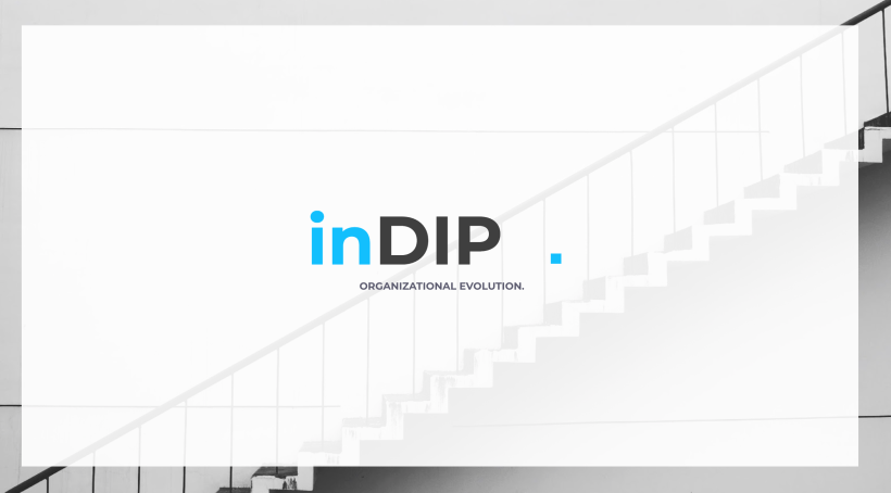 inDIP www.indip.org 3