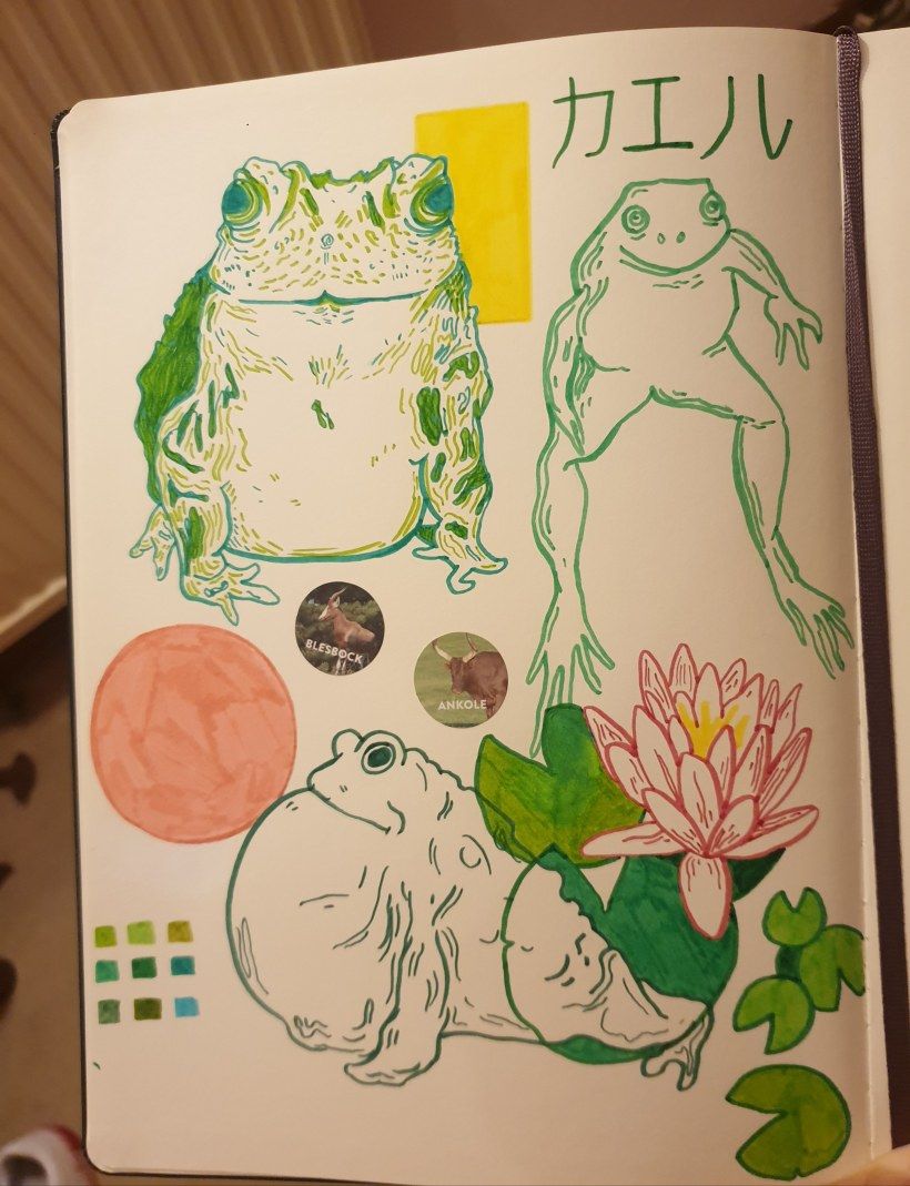 Introducing myself with my recent frog doodles  2