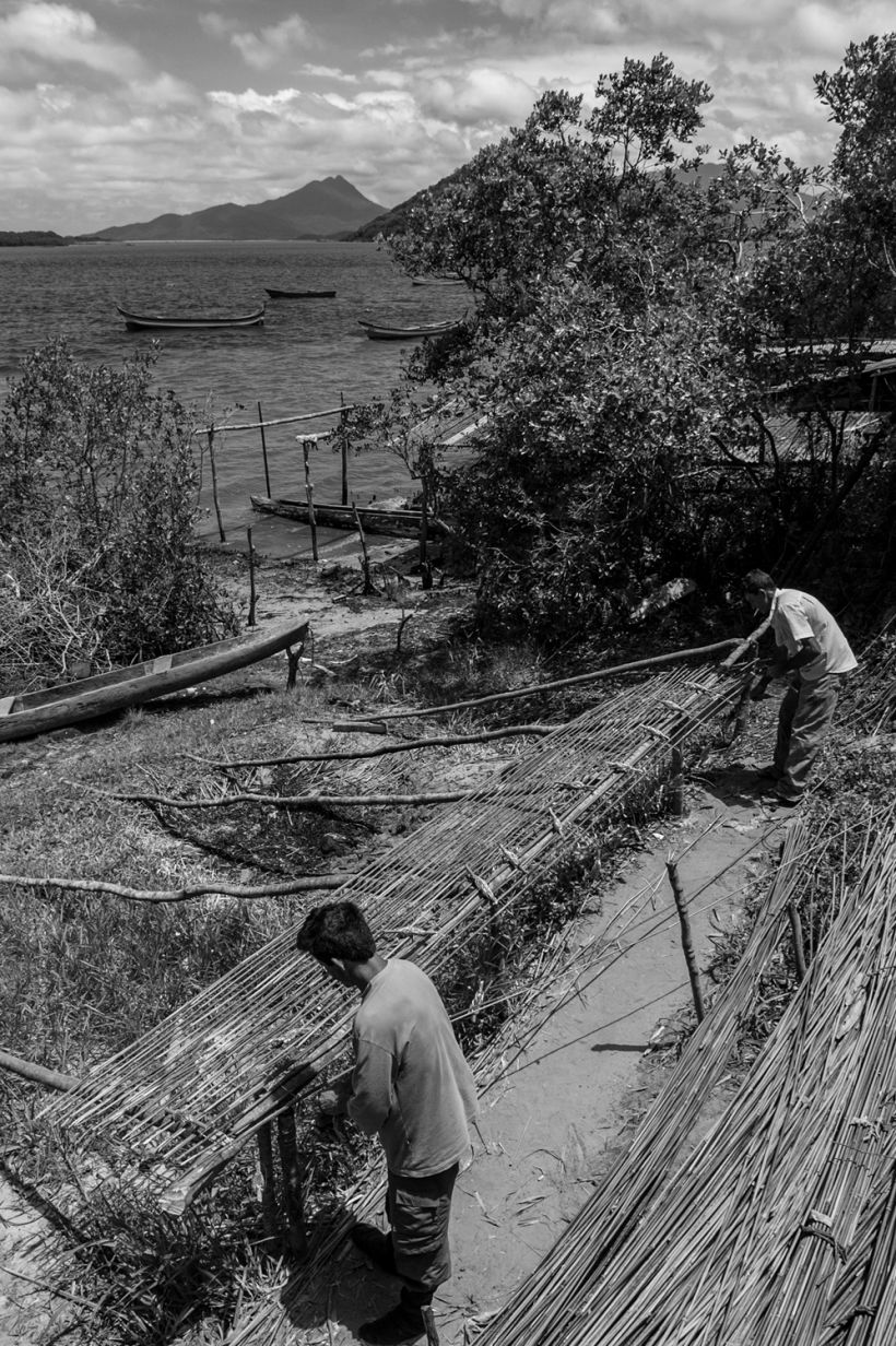 Pescadores preparam armadilhas de pesca feitas de bambu. Cananéia, litoral sul de SP.