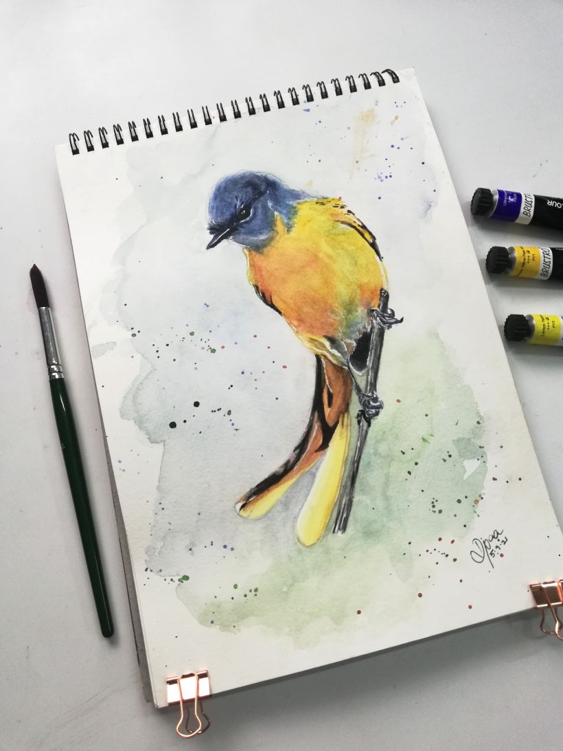 My project in Artistic Watercolor Techniques for Illustrating Birds course 3