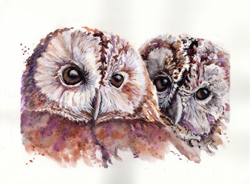 My Owls — Watercolour 