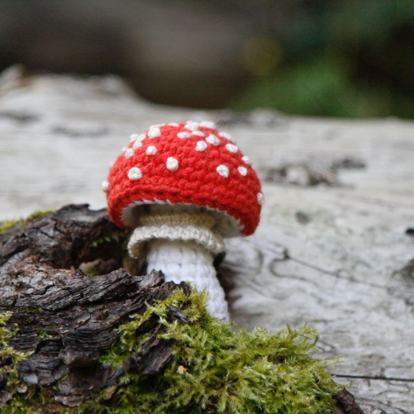 Crochet mushrooms 3