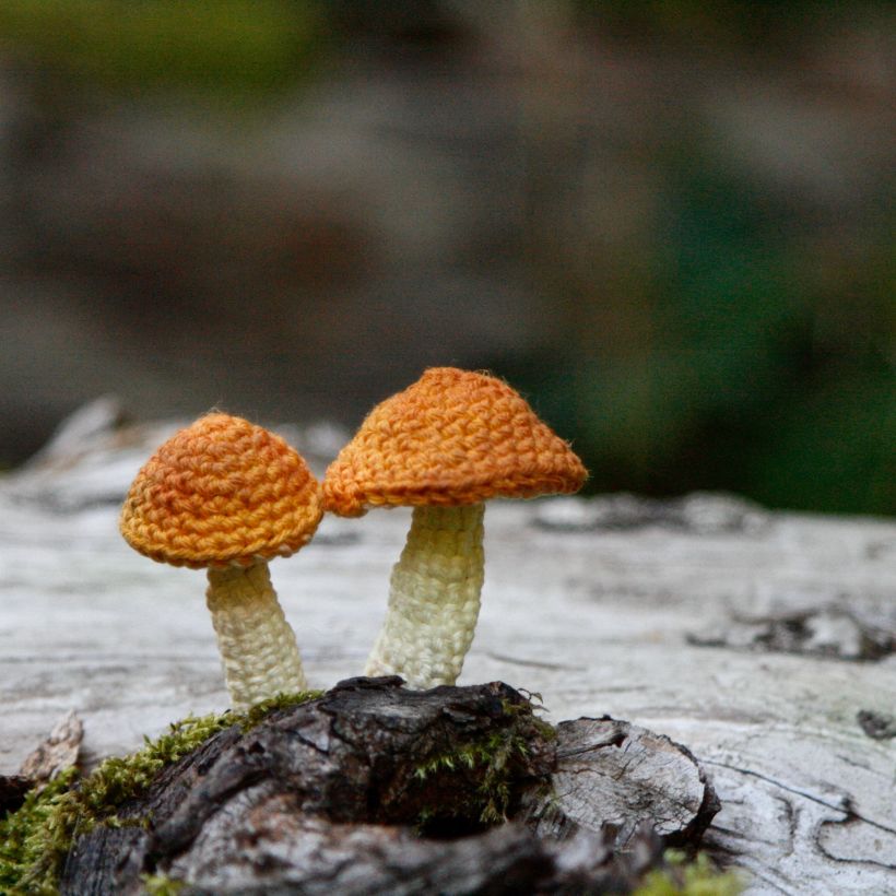 Crochet mushrooms 6
