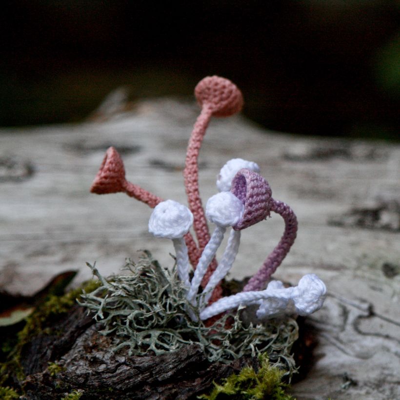 Crochet mushrooms 7