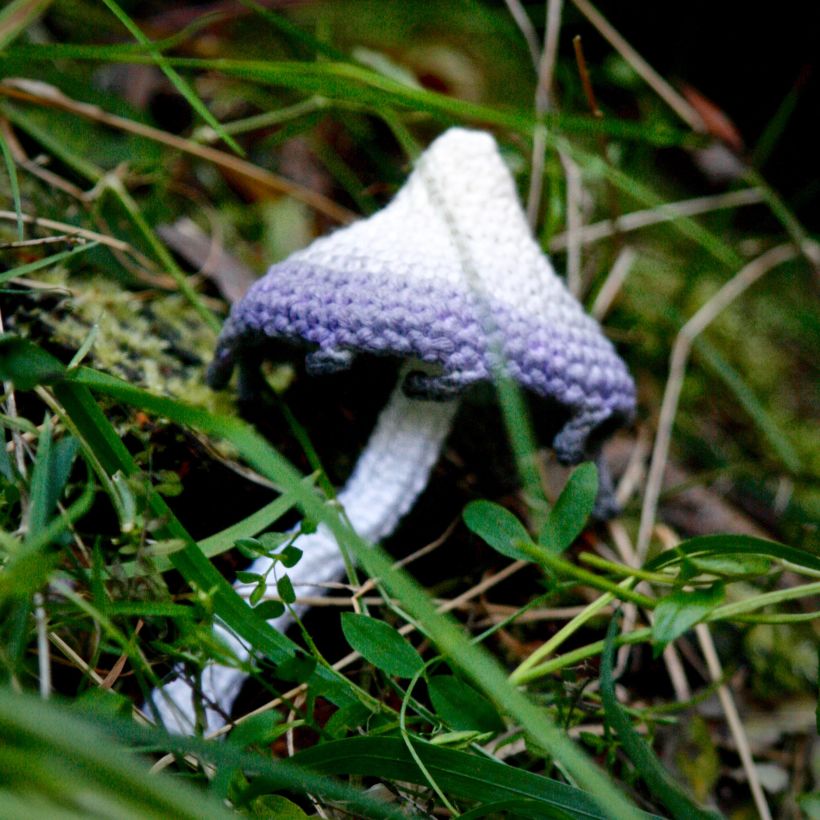 Crochet mushrooms 8