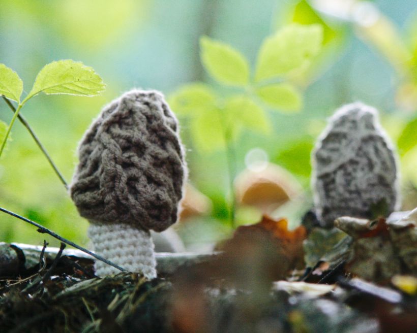 Crochet mushrooms 12