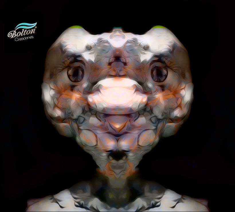 Mi pareidolia de una foto hecha un personaje , efecto espejo ( tortuga ) 1