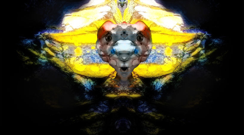 Mi pareidolia de una foto hecha un personaje , efecto espejo ( tortuga ) 2