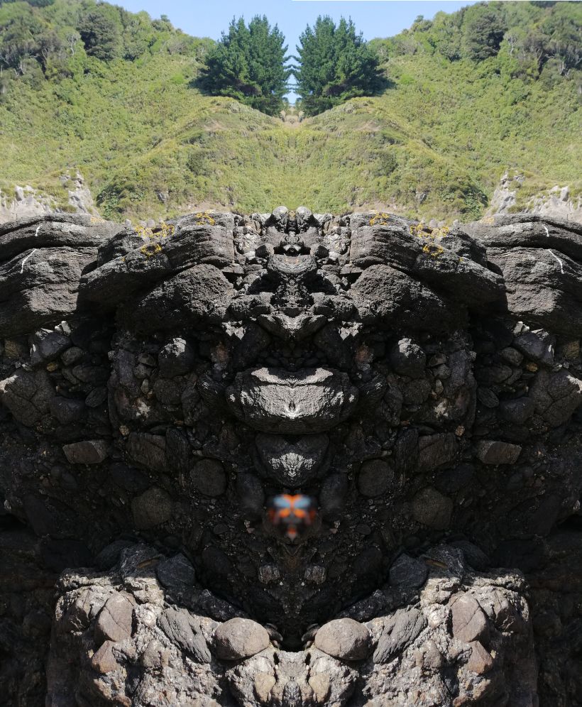 Mi pareidolia de una foto hecha un personaje , efecto espejo ( tortuga ) 3