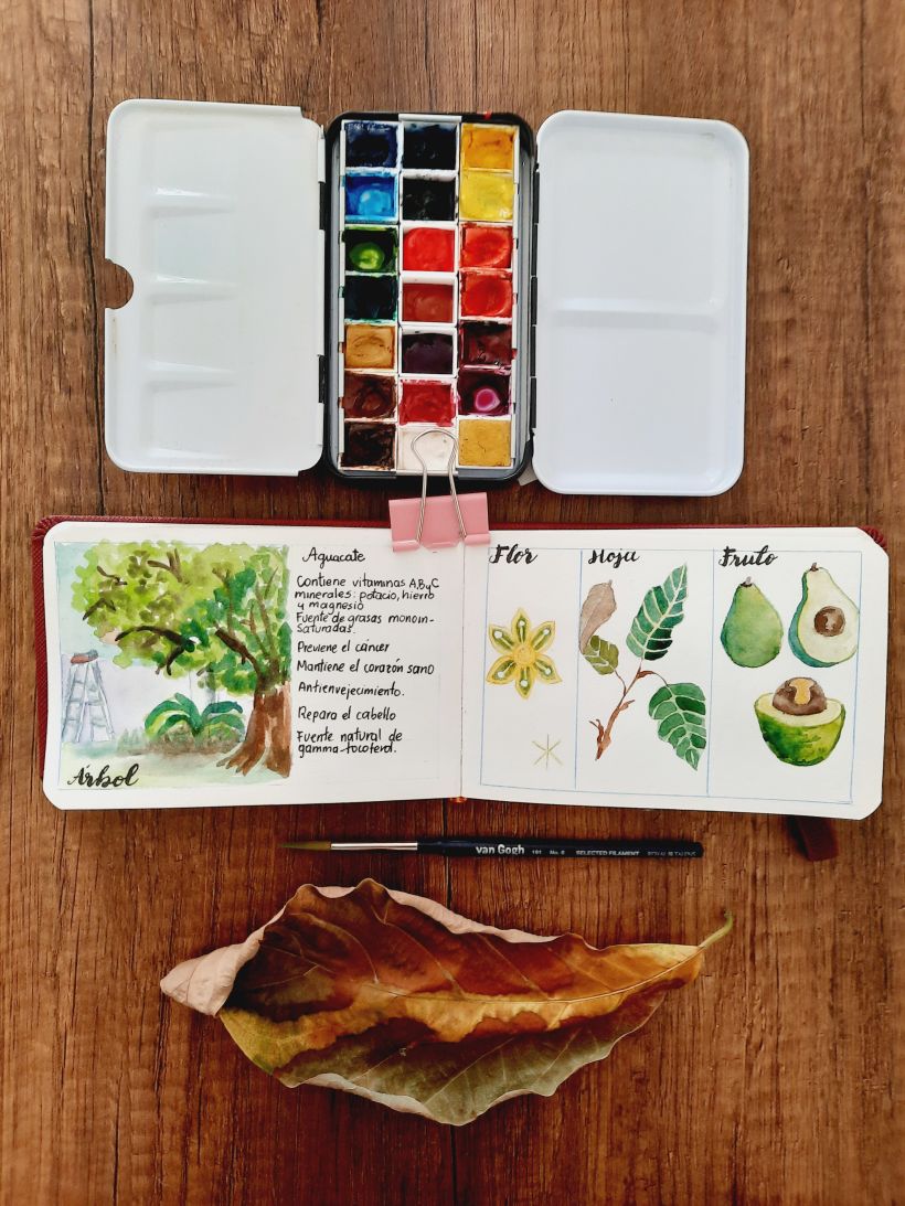 Mi Proyecto del curso: Cuaderno botánico en acuarela 3