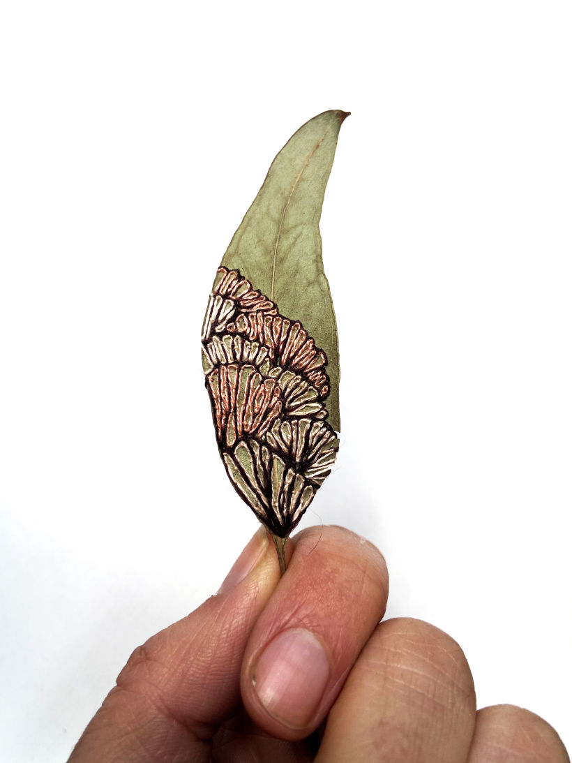 Embroidered Eucalyptus Leaf