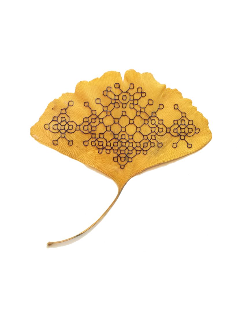Embroidered Ginkgo Leaf