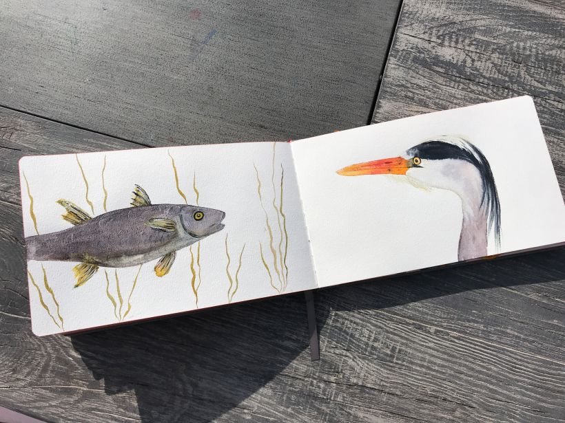 Fish swimming in from previous page and a possibly hungry heron!